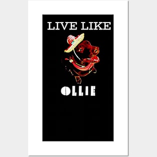 Live Like Ollie Posters and Art